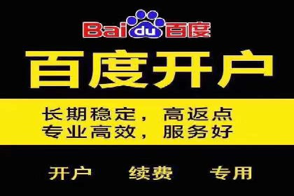 成功企业SEM竞价代运营案例研究